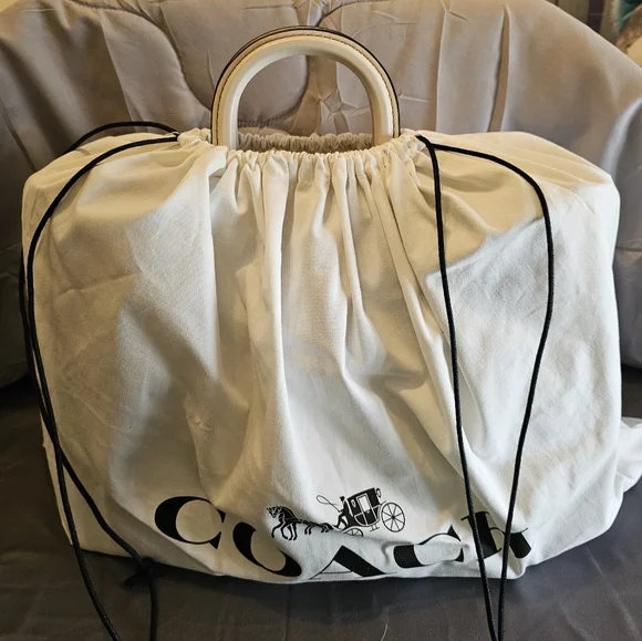 Coach 1941 exotic link Rogue tote - Picture 8 of 16